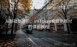 从基础到进阶：imToken充值前核对的详细教程